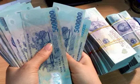 Dân văn phòng có nhiều trường hợp có thể được hoàn thuế song nhiều người không biết