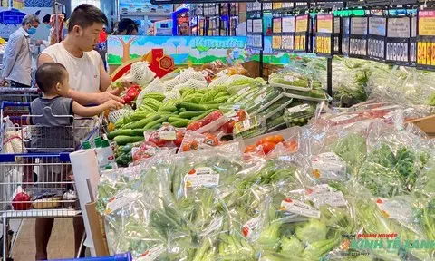 Tiêu dùng xanh 2026 mở đường cho hàng Việt chinh phục người tiêu dùng