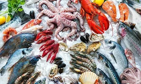 Xuất khẩu thủy sản đạt gần 4,7 tỷ USD, tăng hơn 10,6% trong 5 tháng đầu năm 2026