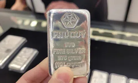 Giá bạc hôm nay 13/6/2026: Đồng loạt tăng trở lại trên thị trường trong nước và thế giới