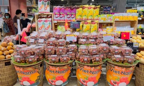 Nắm bắt xu hướng dinh dưỡng, doanh nghiệp Việt đẩy mạnh trái cây sấy