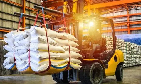 Gạo thơm xuất khẩu được cấp chứng nhận tại địa phương từ ngày 1/7/2026