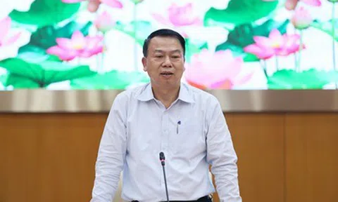 Thứ trưởng Tài chính lý giải nguyên nhân nhập siêu tăng vọt hơn 15 tỷ USD