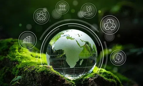 Loạt công ty chứng khoán đầu tiên gia nhập thị trường carbon Việt Nam