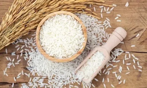 Giá lúa gạo hôm nay 22/6/2026: Duy trì trạng thái ổn định