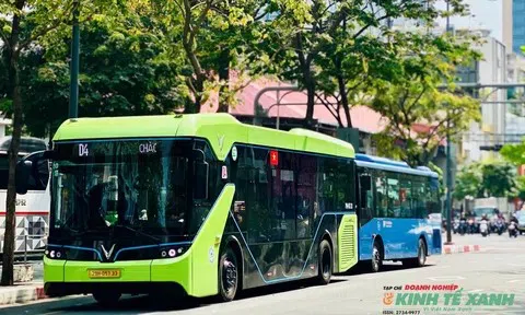 Cả nước có gần 375.000 ô tô điện lưu hành, tăng trưởng mạnh nhờ chuyển đổi xanh