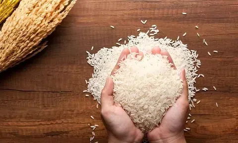 Giá lúa gạo hôm nay 6/7/2026: Bình ổn đầu tuần