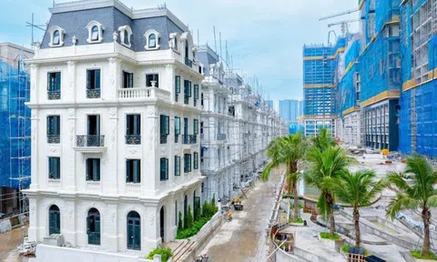 Toàn cảnh tiến độ ba dự án trọng điểm dòng thấp tầng Noble Palace của Sunshine Group tại Hà Nội