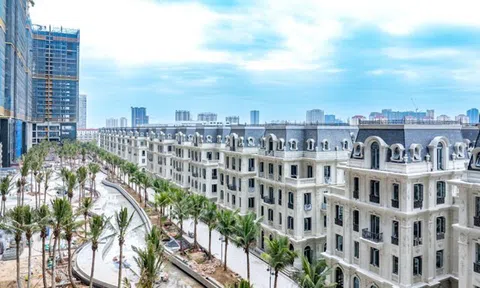 Bất ngờ bộ sưu tập dinh thự diện tích “khủng” lên đến cả ngàn mét vuông giữa lõi Ciputra