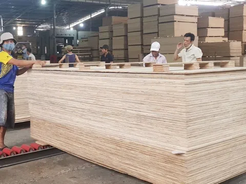 Gỗ dán Việt Nam sẽ bị Mỹ áp thuế cao nếu sử dụng nguyên liệu nhập từ Trung Quốc