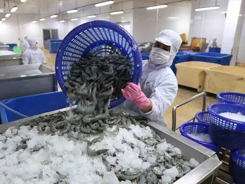 Vì sao nông thủy sản Việt xuất khẩu sang Úc bị chậm kiểm dịch, thông quan?
