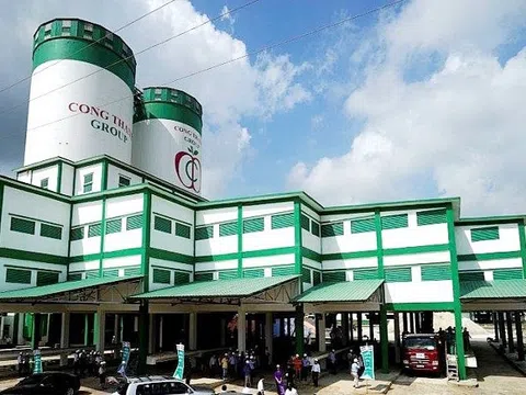 Phạt xi măng Công Thanh vì lấn chiếm 6,2ha biển