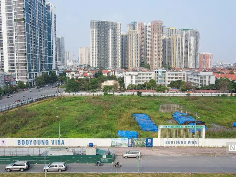 Cây cỏ mọc um tùm bên trong siêu dự án gần 4.000 tỷ đồng của Booyoung