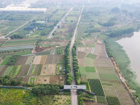 Chỉ đạo mới nhất đối với 64 dự án ôm đất bỏ hoang tại Mê Linh