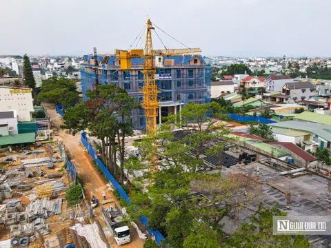 Lý do Công ty CP Chè Lâm Đồng bị phạt 320 triệu đồng