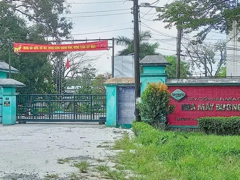 Mía đường Cần Thơ bị xử phạt do vi phạm công bố thông tin