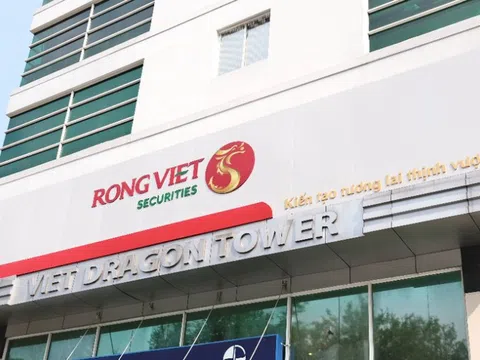 Chứng khoán Rồng Việt lỗ khi "ôm" HSG và VNM