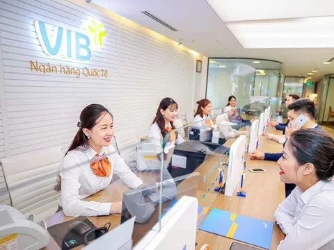 Nợ có khả năng mất vốn của VIB tăng gấp gần 3 lần