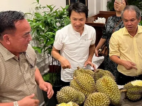 3 năm liên tiếp lãi nghìn tỷ, lỗ lũy kế của HAGL còn bao nhiêu?