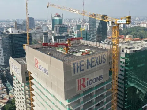 Ricons báo lãi lớn nhất trong 4 năm
