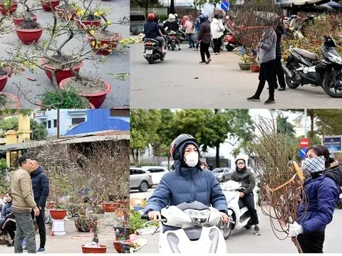 Thị trường Tết hàng hóa phong phú nhiều chương trình khuyến mại thu hút người tiêu dùng