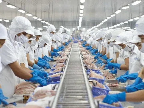 Vĩnh Hoàn tháng 4/2025: Xuất khẩu sa sút, doanh thu đi lùi