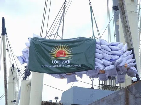 Lộc Trời chưa thể vượt qua khủng hoảng dòng tiền