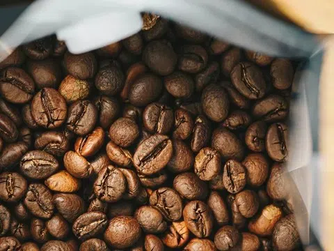 Giá cà phê trong nước tăng nhẹ trở lại