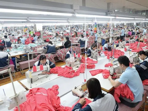 May Sông Hồng có bị ảnh hưởng trong thời gian tới khi Mỹ là thị trường chủ lực?