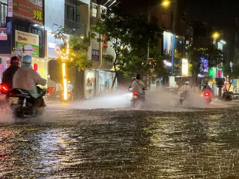 Mưa lớn do bão số 1, nhiều tuyến phố Đà Nẵng ngập cục bộ trong đêm