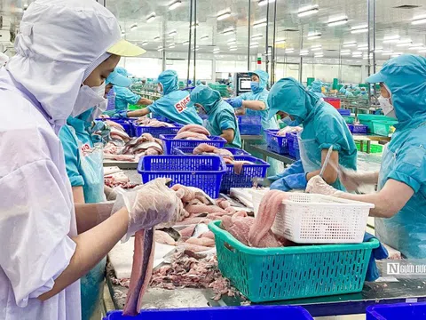 Thủ tướng chỉ đạo thực hiện các biện pháp duy trì tăng trưởng xuất khẩu