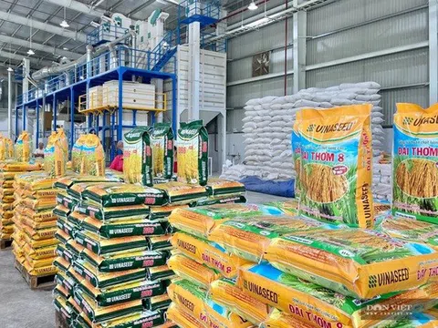 Lãnh đạo cấp cao Vinaseed xin nghỉ hưu trước tuổi
