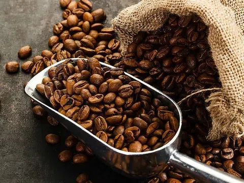 Giá cà phê hôm nay 30/6/2025: Giao dịch ổn định quanh mốc 94.200 đồng/kg