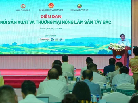 Doanh nghiệp kể chuyện "làm lớn từ điều giản dị" với nông sản Tây Bắc