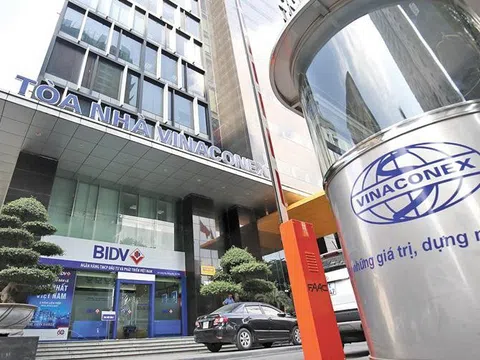 Vinaconex muốn thoái vốn tại chủ đầu tư Cát Bà Amatina