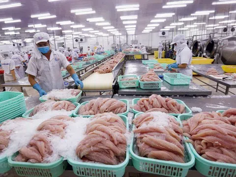 Bộ NN&MT: Vụ C.P Việt Nam đã xử lý cán bộ vi phạm