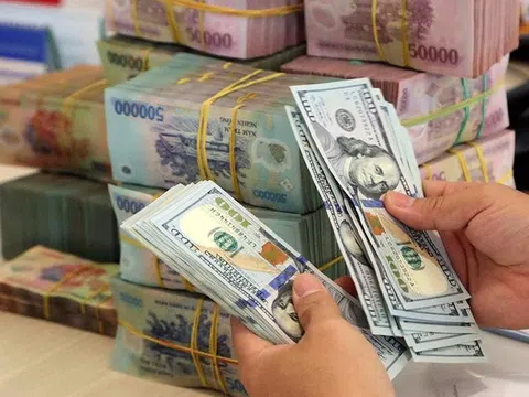 Tỉ giá tiếp tục chịu áp lực trong 6 tháng cuối năm