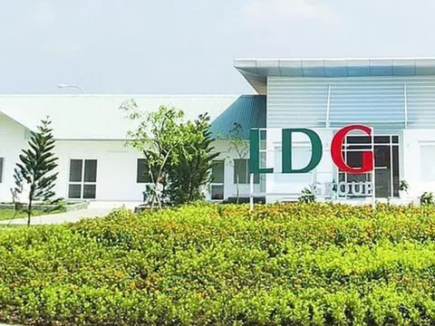Bất chấp nằm trong diện kiểm soát, cổ phiếu LDG vẫn tăng trần 11 phiên