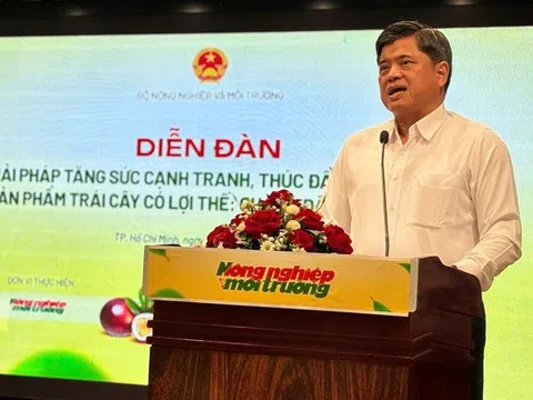 Thứ trưởng Trần Thanh Nam: Trái cây Việt không thể đi xa nếu cứ sản xuất nhỏ lẻ, manh mún