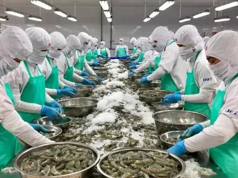 Chinh phục thị trường Hoa Kỳ thông qua hoạt động xúc tiến thương mại chuyên sâu