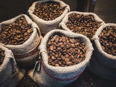 Giá cà phê hôm nay 19/7/2025: Giao dịch yếu, giá lùi về 117.000 đồng/kg