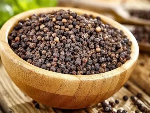 Giá tiêu hôm nay 21/7/2025: Chững lại ở mức cao