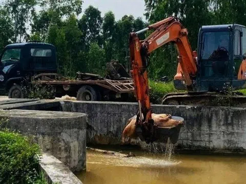 Bắt đối tượng vứt lợn chết bừa bãi, gây ô nhiễm môi trường