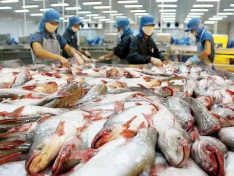 Việt Nam vươn lên vị trí thứ 3 xuất khẩu thủy sản vào thị trường Singapore