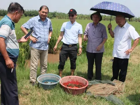 Nâng tầm giá trị nông sản và dược liệu bằng công nghệ cao