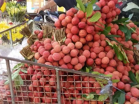 Vải thiều Việt Nam gây sốt trên bản đồ nông sản toàn cầu, xuất khẩu tăng đến 92%