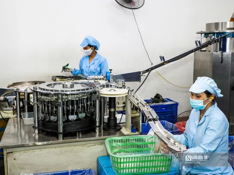 174.000 doanh nghiệp gia nhập thị trường trong 7 tháng đầu năm 2025