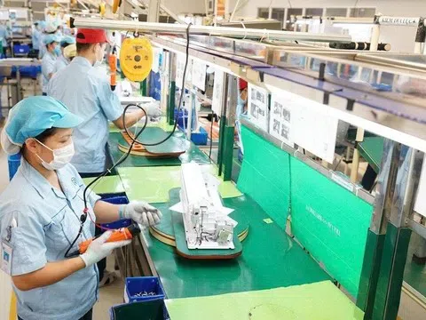 Doanh nghiệp thành lập mới trong tháng 7 giảm cả về lượng và vốn