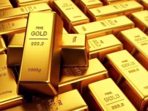 Giá thịt heo và điện tăng mạnh tại Cần Thơ trong quý II/2025: Áp lực chi tiêu gia tăng