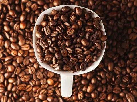 Giá cà phê hôm nay 22/8/2025: Tiếp tục tăng